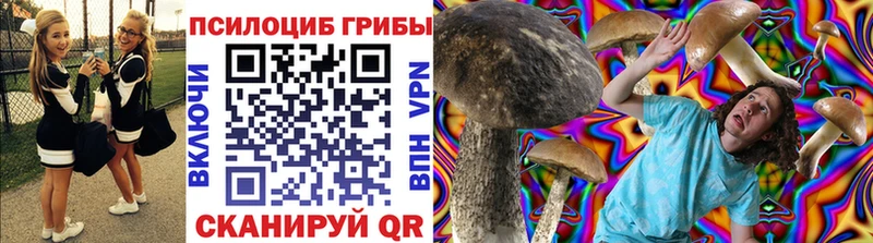 как найти наркотики  Шелехов  Псилоцибиновые грибы Cubensis 